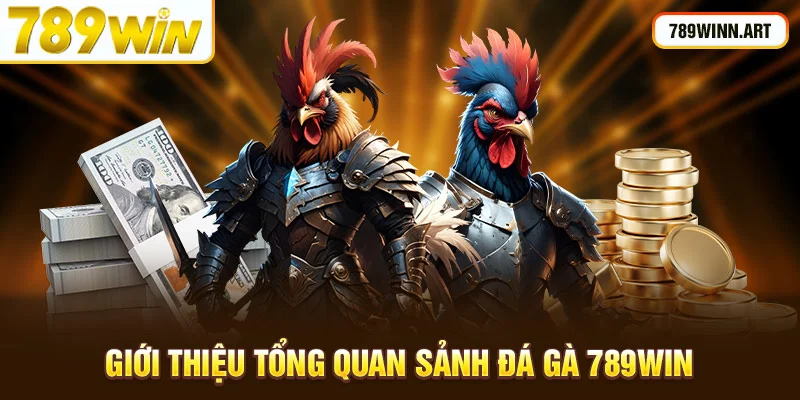 Giới thiệu tổng quan sảnh chọi gà 789Win