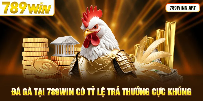 Đá gà tại 789Win có tỷ lệ cược khủng